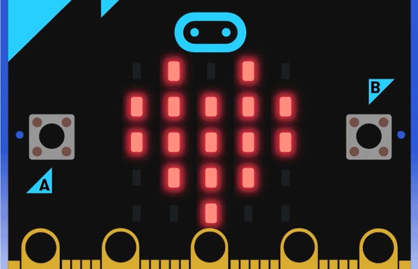 BBC micro:bit 2.0 GO Bundle